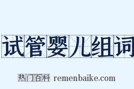 试管婴儿组词是什么意思的图片